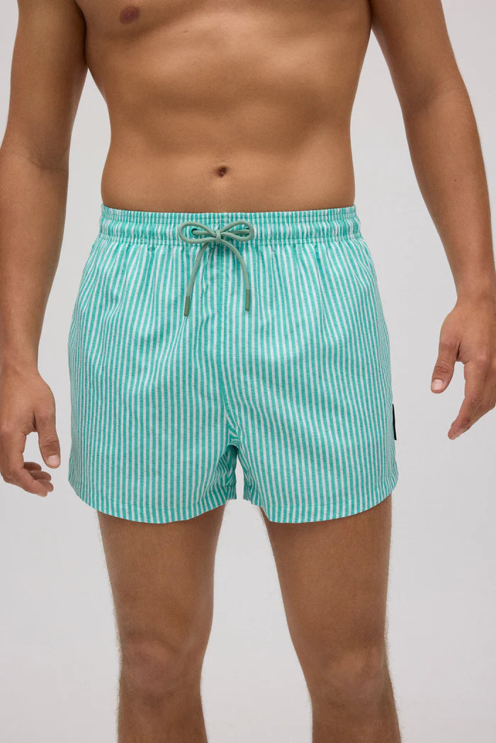 Green striped short swim trunks