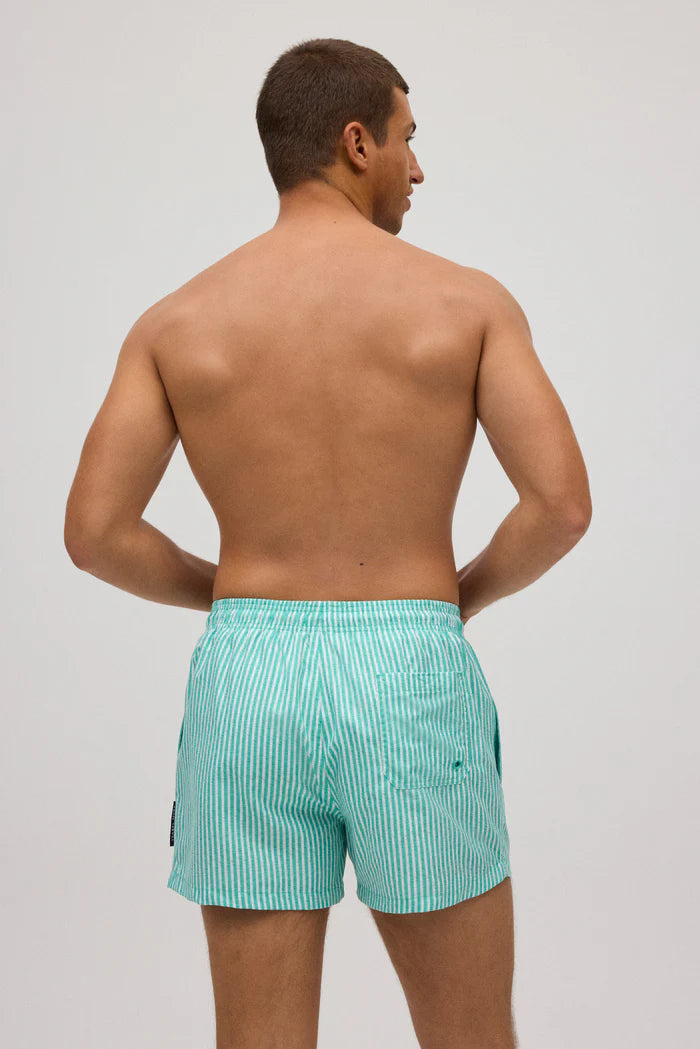 Green striped short swim trunks