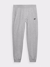 4F Pantalon de sport Gris