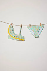 Papillons de bikini
